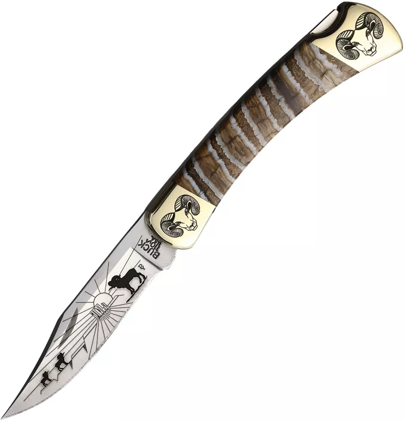 Custom Buck 110 Lockback