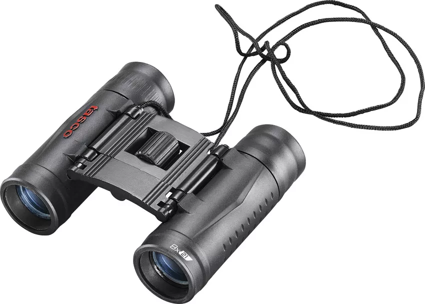 Essentials Binoculars 8×21