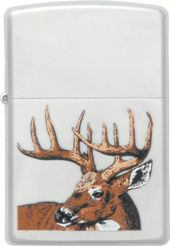 Whitetail Buck Deer